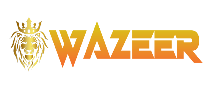 Wazeer9 Logo